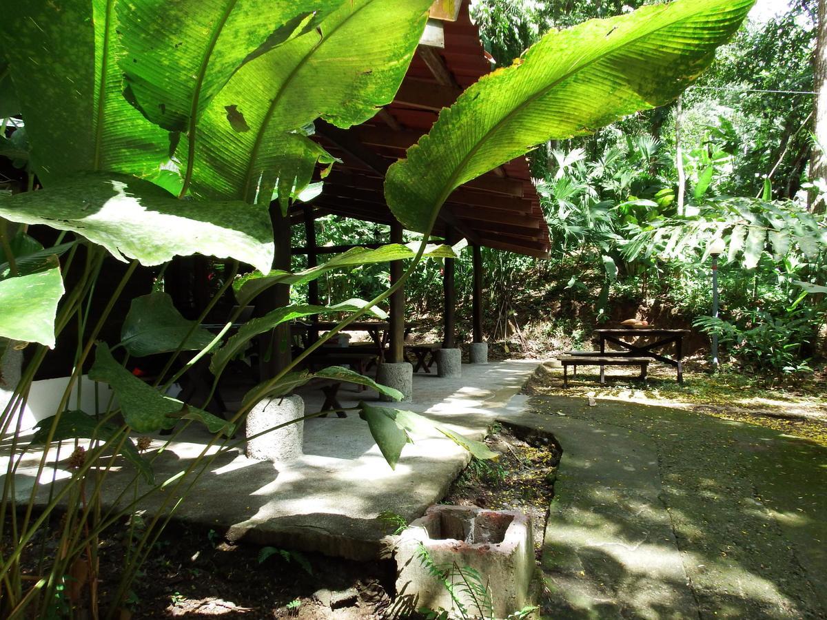 Selva Color - Forest & Beach Ecolodge Quebrada Ganado Экстерьер фото