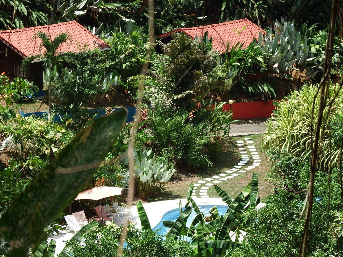 Selva Color - Forest & Beach Ecolodge Quebrada Ganado Экстерьер фото