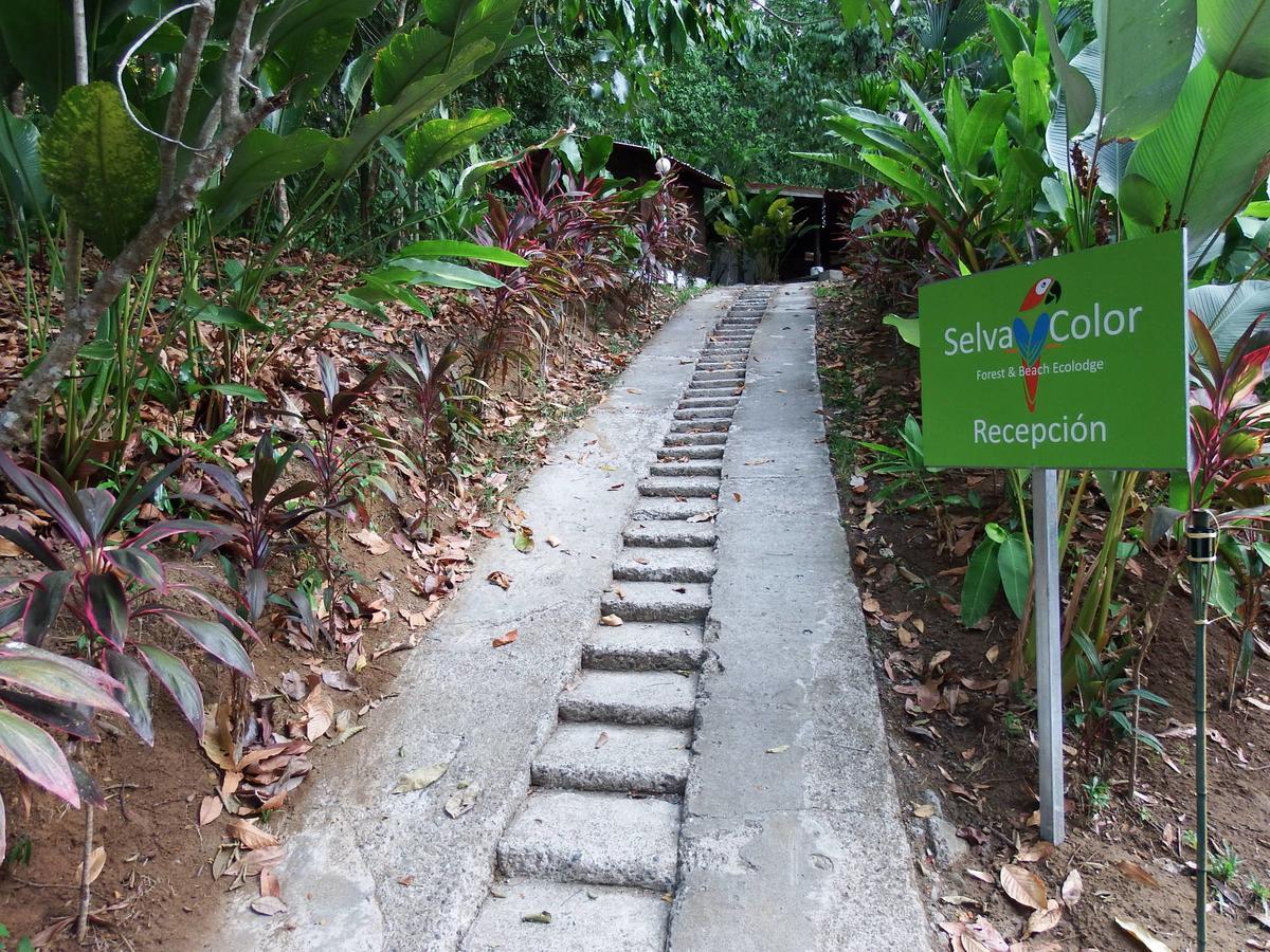 Selva Color - Forest & Beach Ecolodge Quebrada Ganado Экстерьер фото