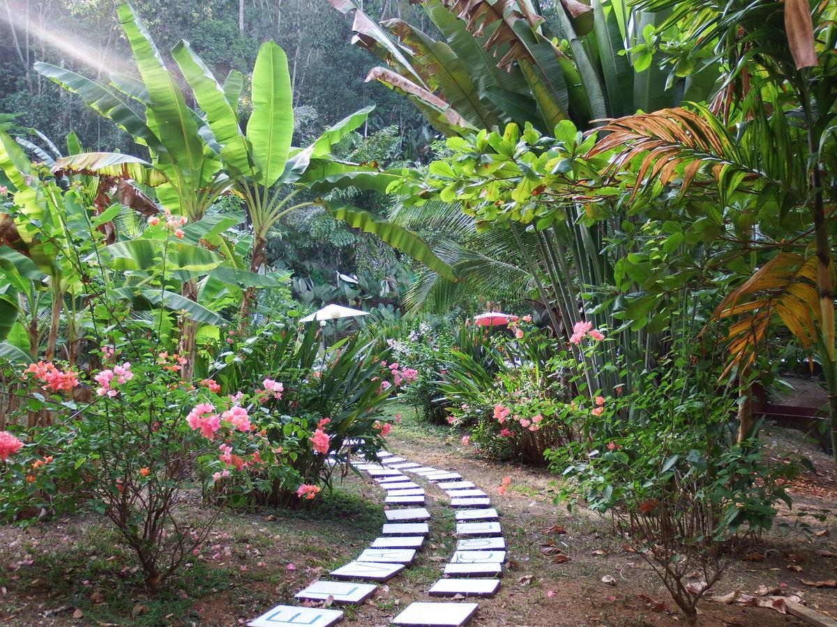 Selva Color - Forest & Beach Ecolodge Quebrada Ganado Экстерьер фото