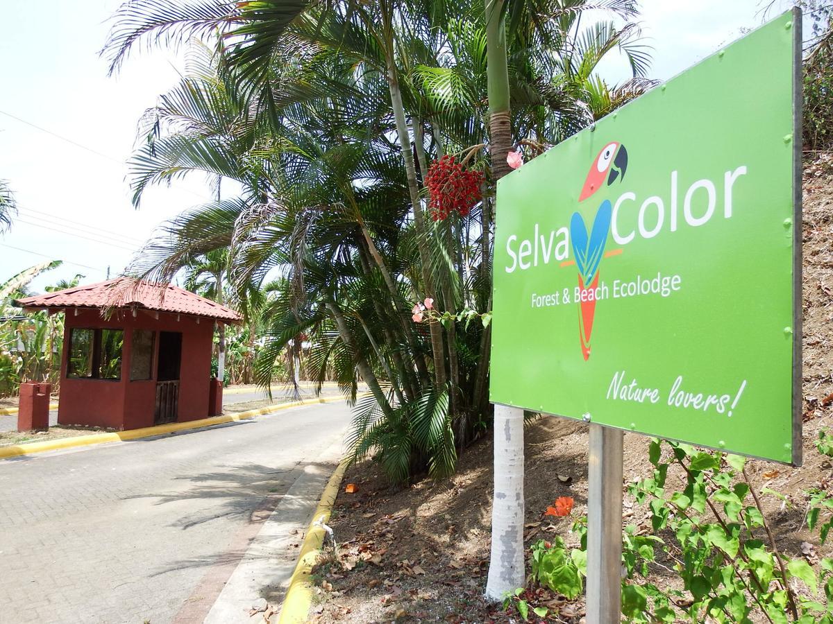 Selva Color - Forest & Beach Ecolodge Quebrada Ganado Экстерьер фото