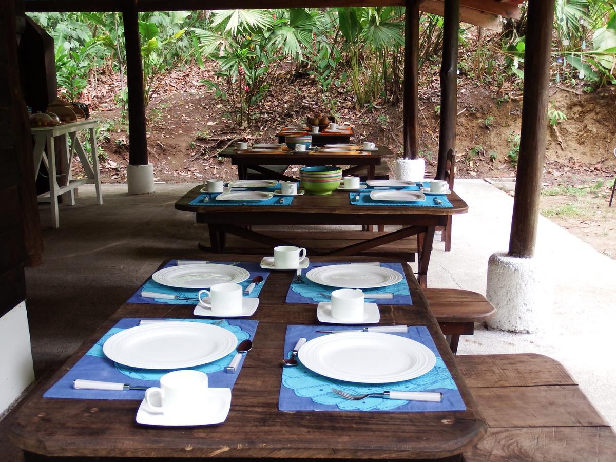 Selva Color - Forest & Beach Ecolodge Quebrada Ganado Экстерьер фото